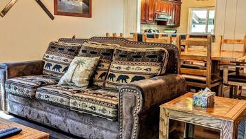 电视、壁炉、DVD 播放器