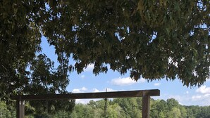 A wooden swing set on a sandy beach with a lake and trees in the background. - Lake Escape - Unobstructed Views at our Group-Friendly Retreat! (Bracey)