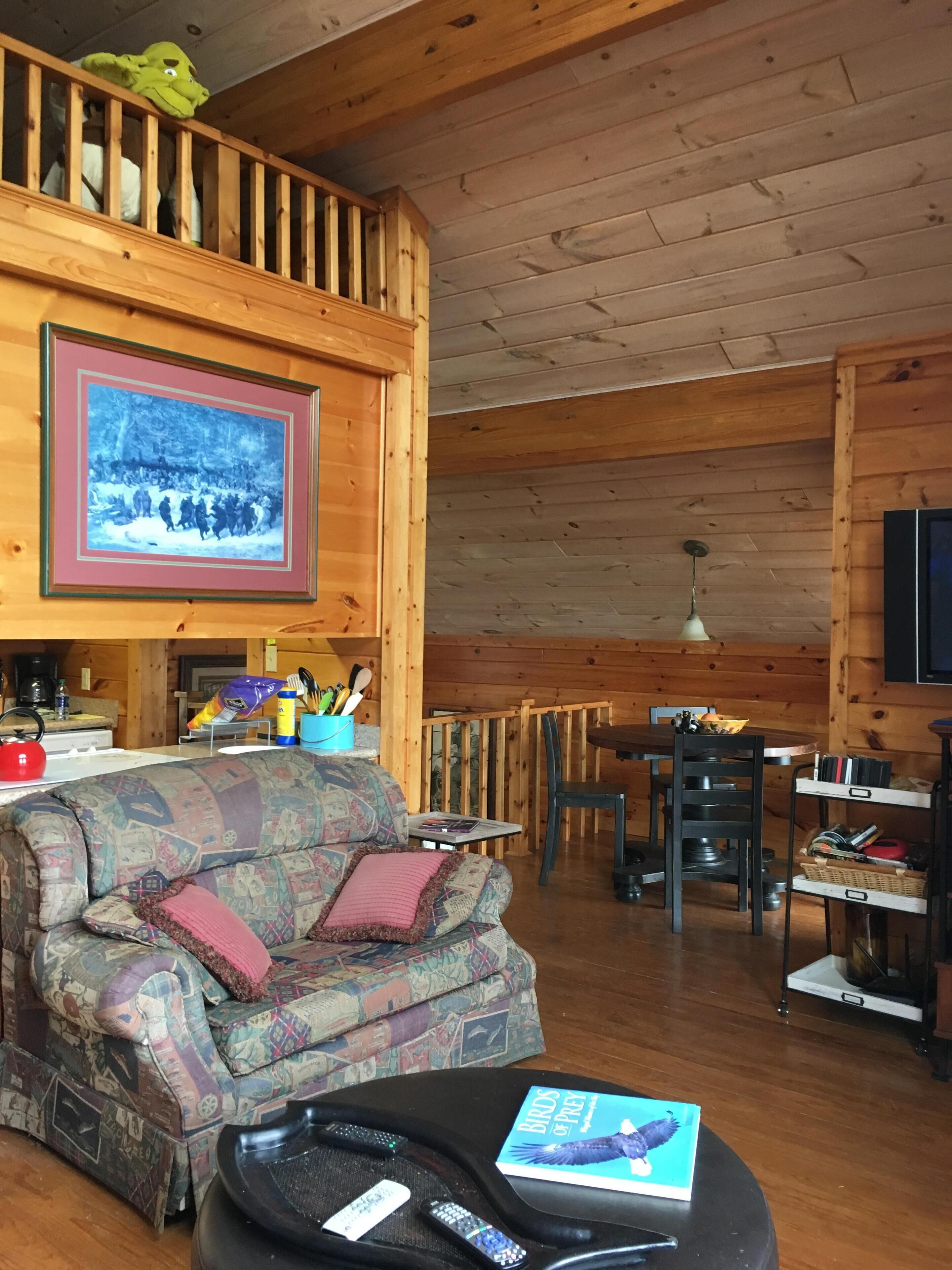 TV, fireplace, DVD player, video library