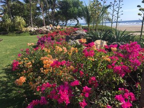 Àrea exterior de l'allotjament