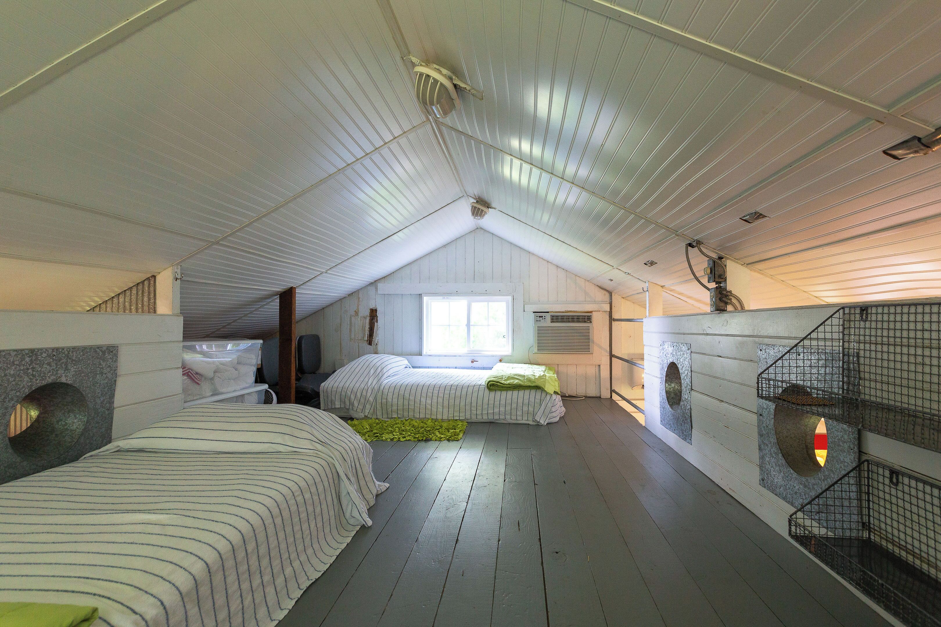 Une chambre de type dortoir, avec des lits superposés, une fenêtre et un puits de lumière.