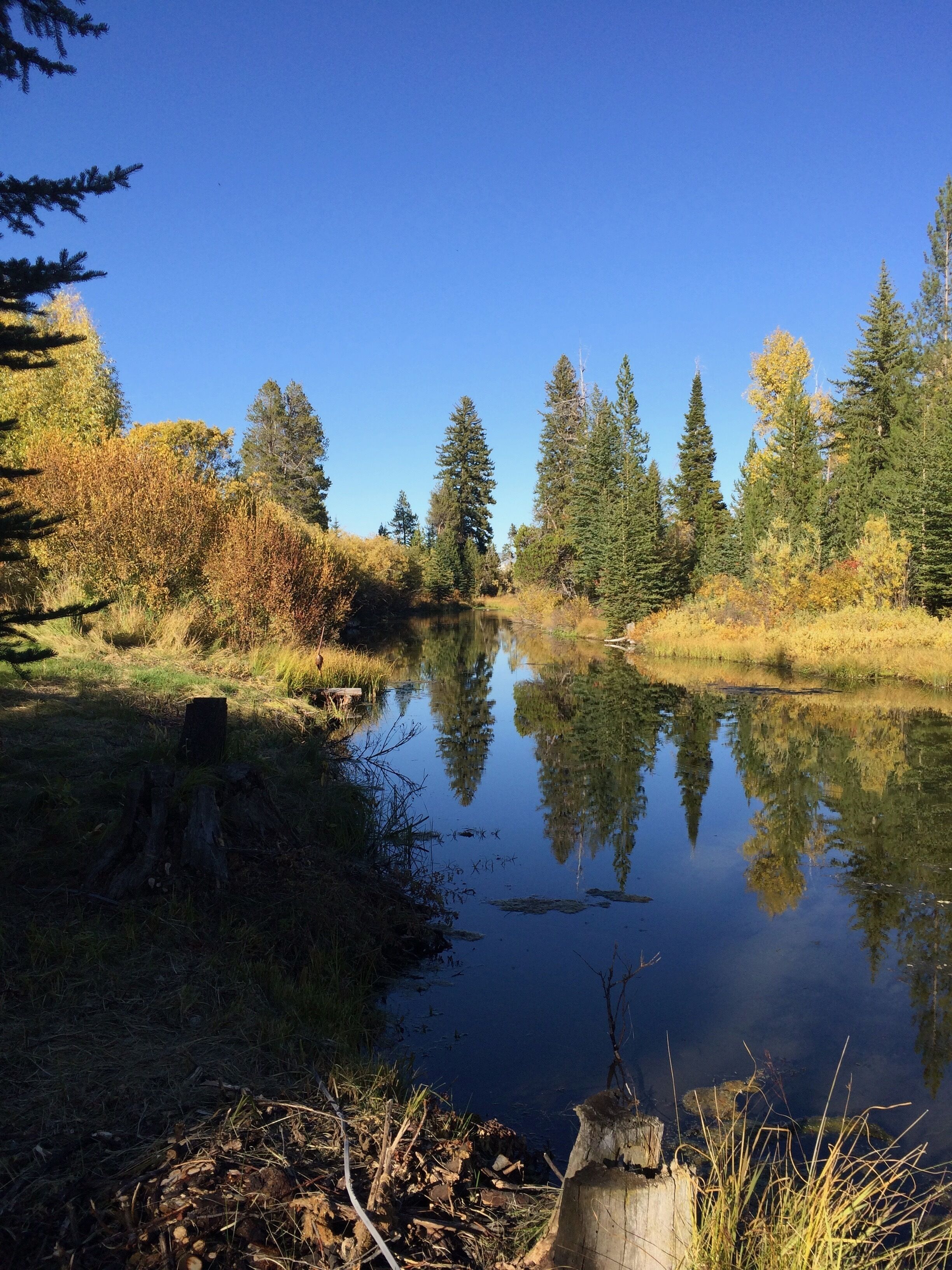  Cabin On Historic Guest Ranch. Private! Fishing! Secluded!