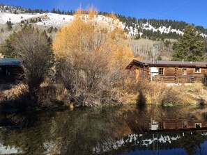 A log cabin with a metal roof, surrounded by trees and a mountain backdrop. - Cabin On Historic Guest Ranch. Private! Fishing! Secluded! (Wilson)
