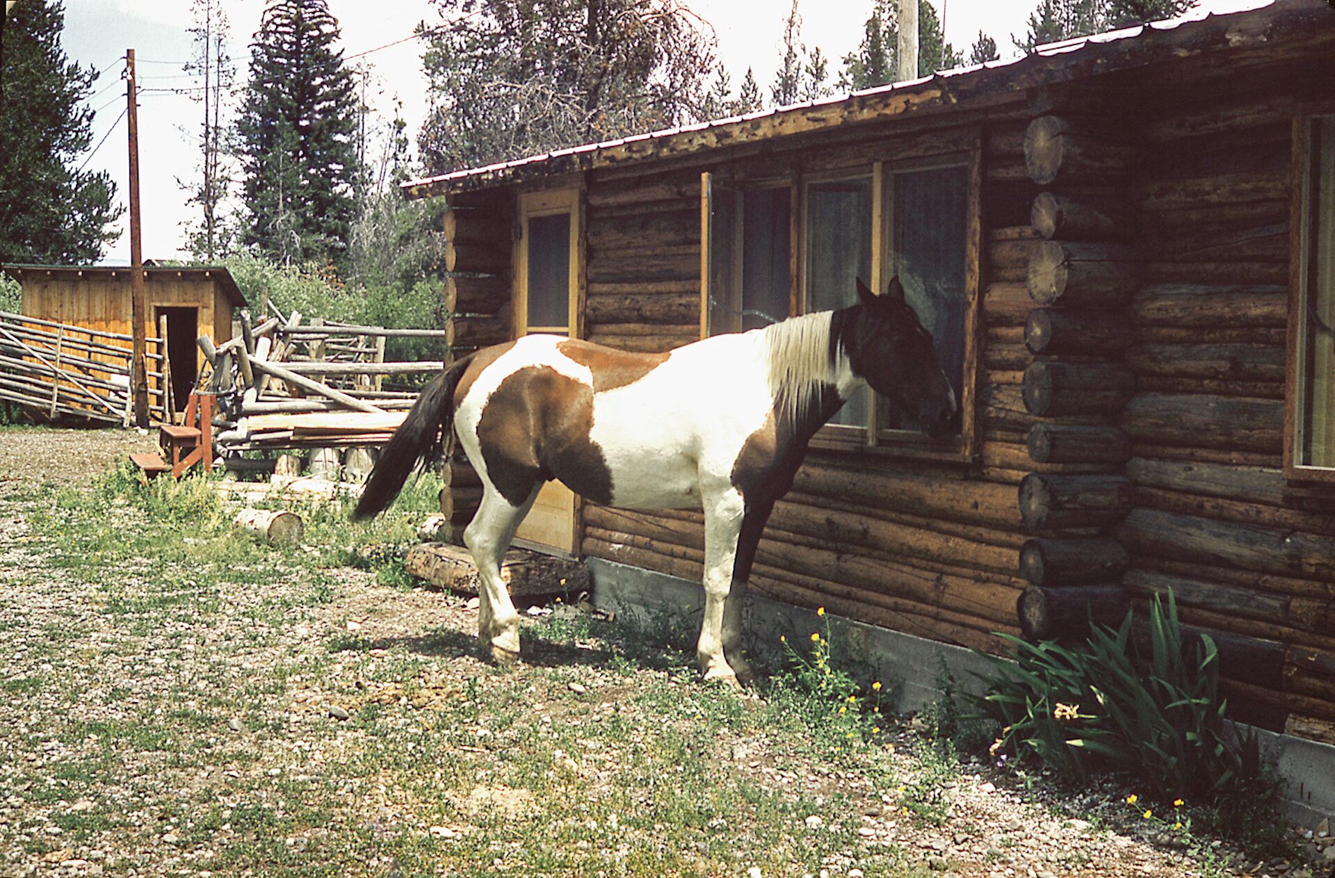 Top 14 Fly Fishing Lodges In Wyoming, USA Updated 2023 Trip101