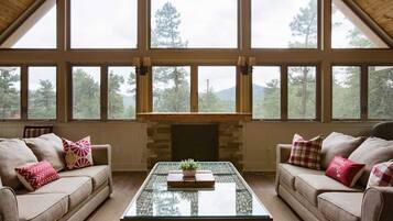 Smart TV, fireplace, video game console, DVD player