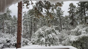 Escape to a serene forest retreat surrounded by snow-covered trees and a cozy cabin.
