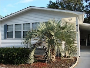 Stylish single-story home with a front porch and a palm tree.