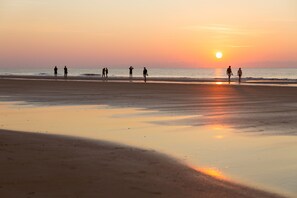 Playa en los alrededores 