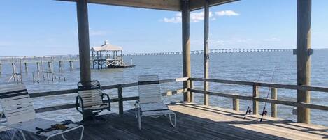 テラス / パティオ