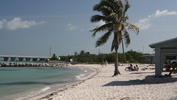 A beach with a palm tree, a pier, and a building with people sitting on the sand. - Direct Oceanfront Cottage-Sunrise View- #2, (Little Torch Key)