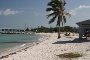 A beach with a palm tree, a pier, and a building with people sitting on the sand.