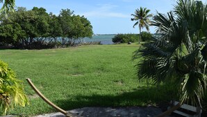 A grassy area with a view of the water and palm trees. - Direct Oceanfront Cottage-Sunrise View- #2, (Little Torch Key)
