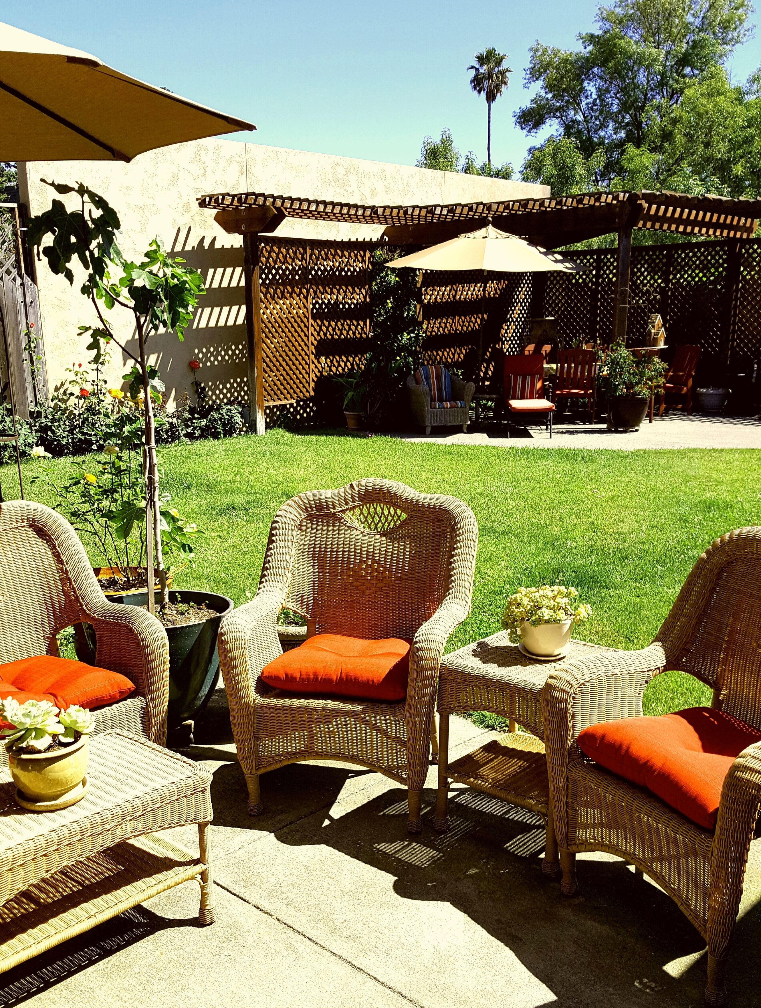 enjoy a good book or dine al fresco