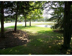 Terrain de l’hébergement