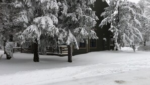 Eksteriør