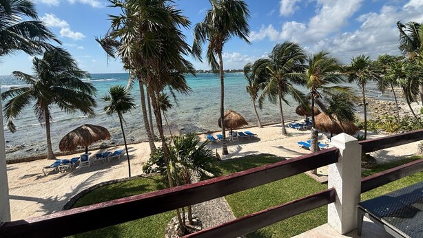 A beach view with palm trees, lounge chairs, and thatched umbrellas. - Oceanfront double size beach condo in La Sirena condominium (Akumal)