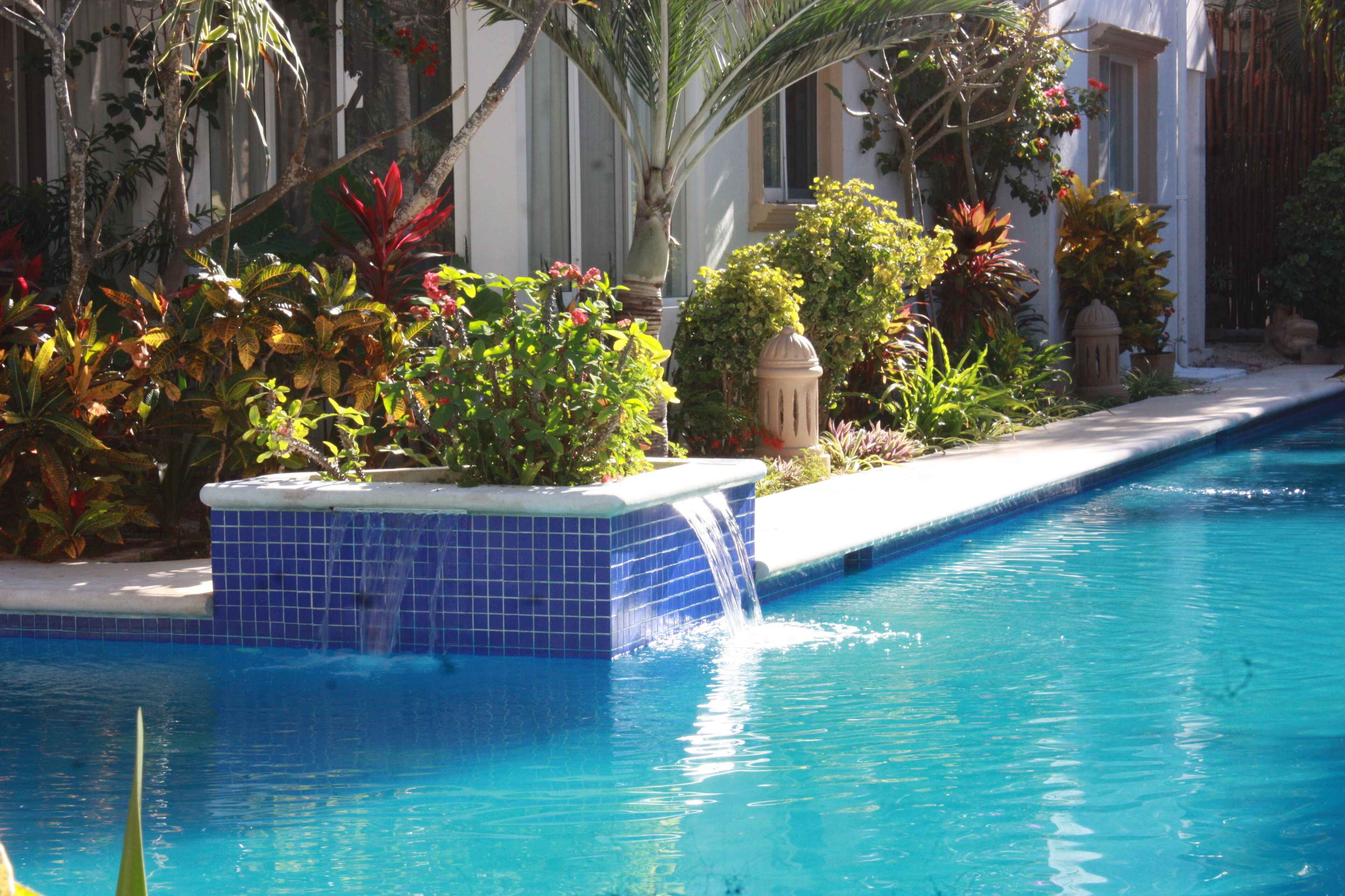 Piscina externa