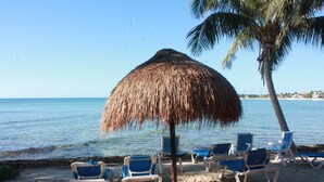 A beach with a thatched umbrella and several blue lounge chairs. - Oceanfront double size beach condo in La Sirena condominium (Akumal)