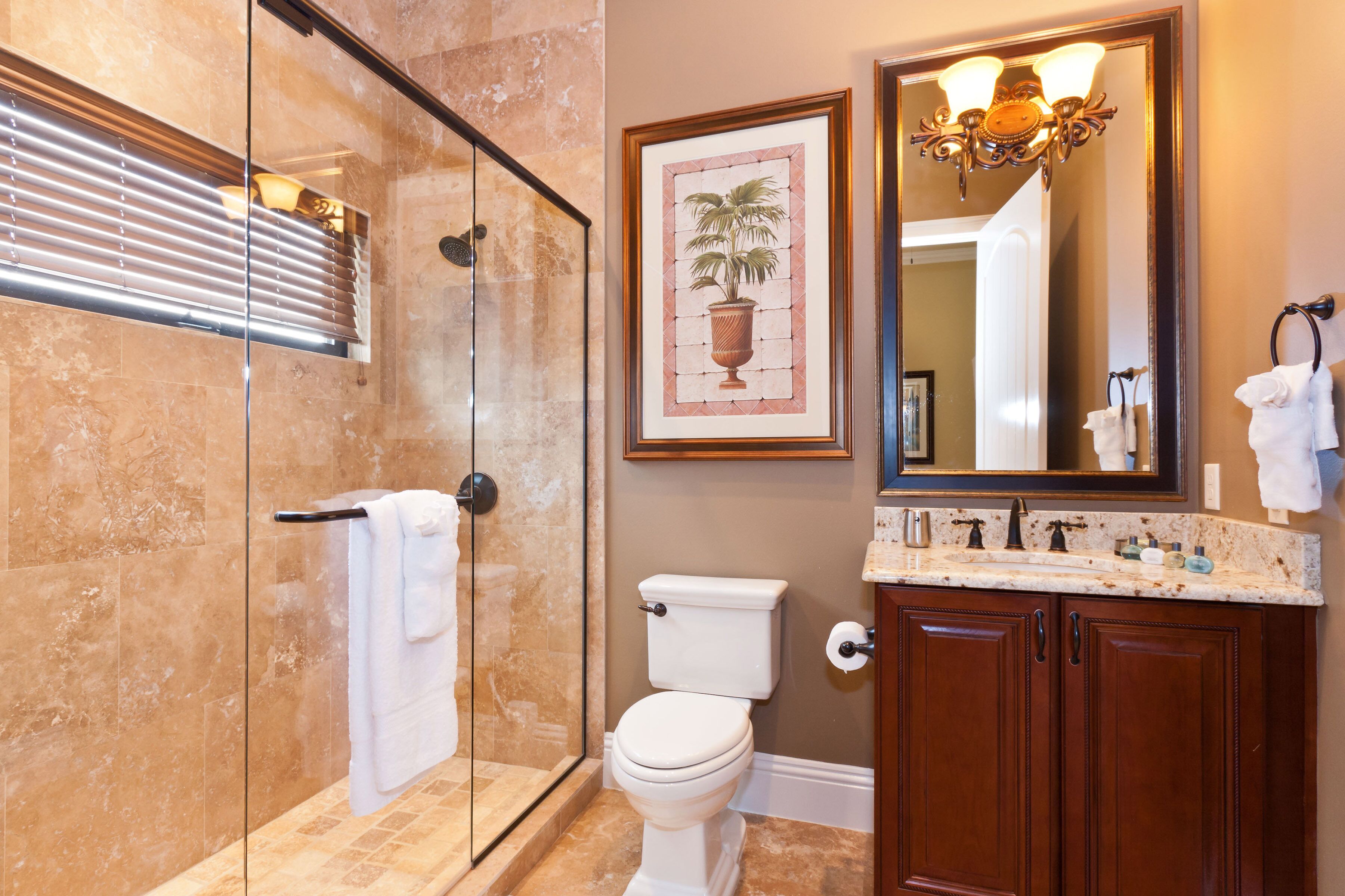 A bathroom with a glass shower enclosure, a toilet, a sink with a marble countertop, and a framed picture of a plant.