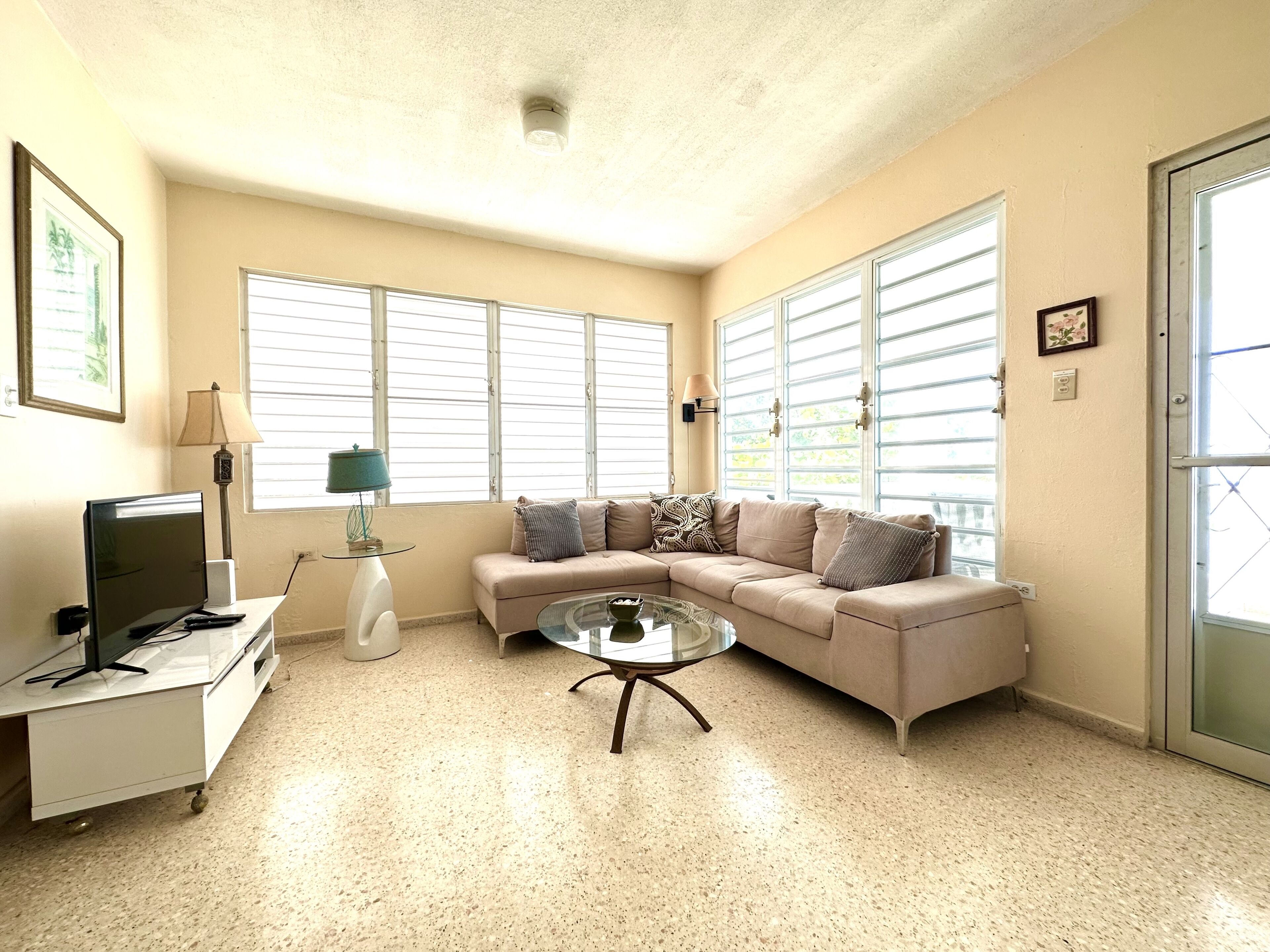 电视、DVD 播放器、书