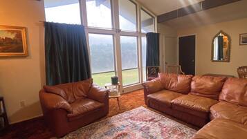 Älytelevisio, kirjoja