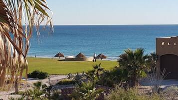 Plage, chaises longues, serviettes de plage