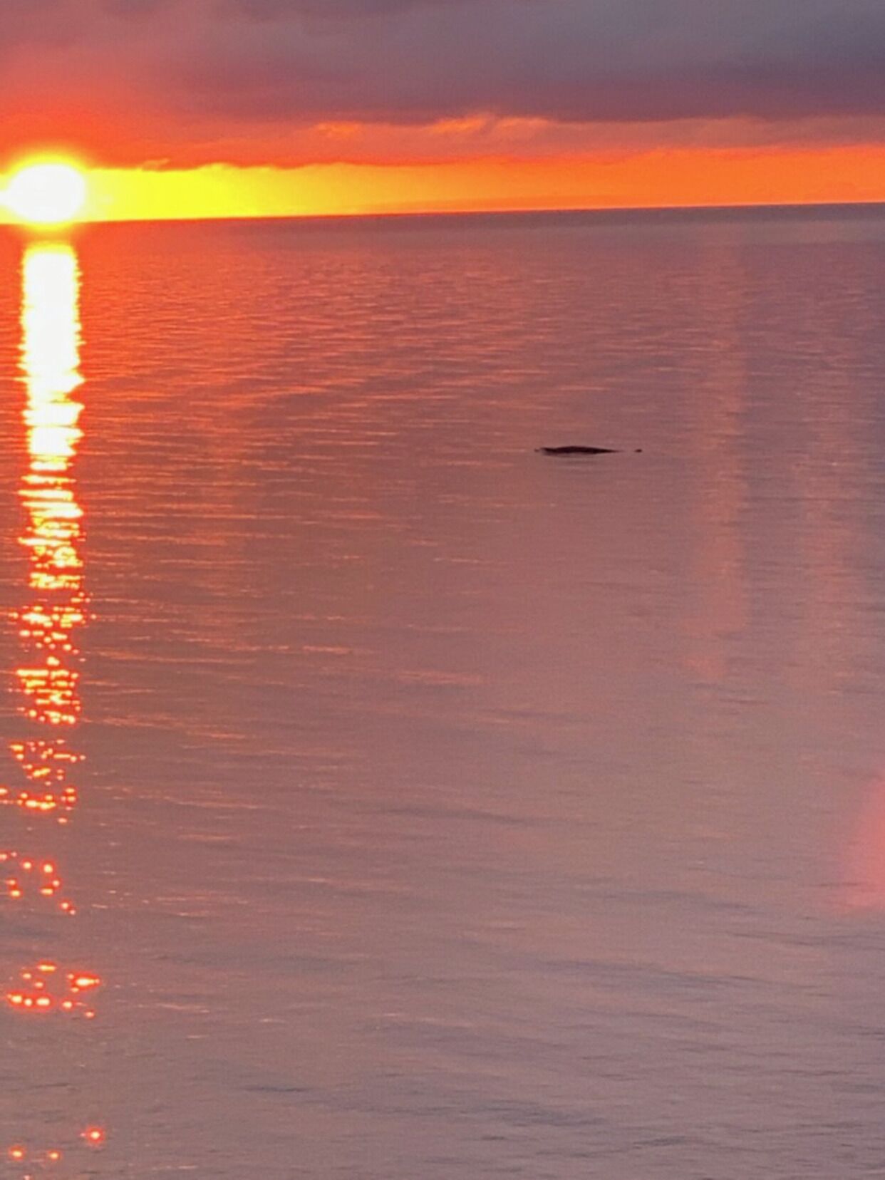 Solnedgang over et roligt hav med silhuetten af en båd.