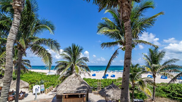 A beachside view with palm trees, a thatched-roof hut, and a beach with blue umbrellas.
