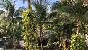 A tropical garden with palm trees and a well-maintained lawn. - Spacious Beachside Villa with Outstanding Meals, Pool, WiFi – Large Sandy Beach (Tankah Tres)