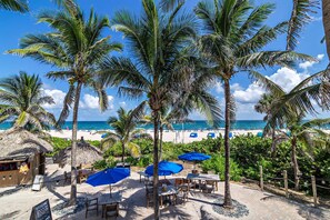 A beachside restaurant with outdoor seating, palm trees, and a view of the ocean.
