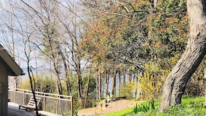 A pathway leading to a wooden deck with a railing, surrounded by trees and flowering plants. - Love Sunsets?   Glory in a natural, cozy,  rustic setting (Huddleston)