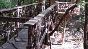Una cabaña de madera rústica con porche cubierto, rodeada de un bosque denso.