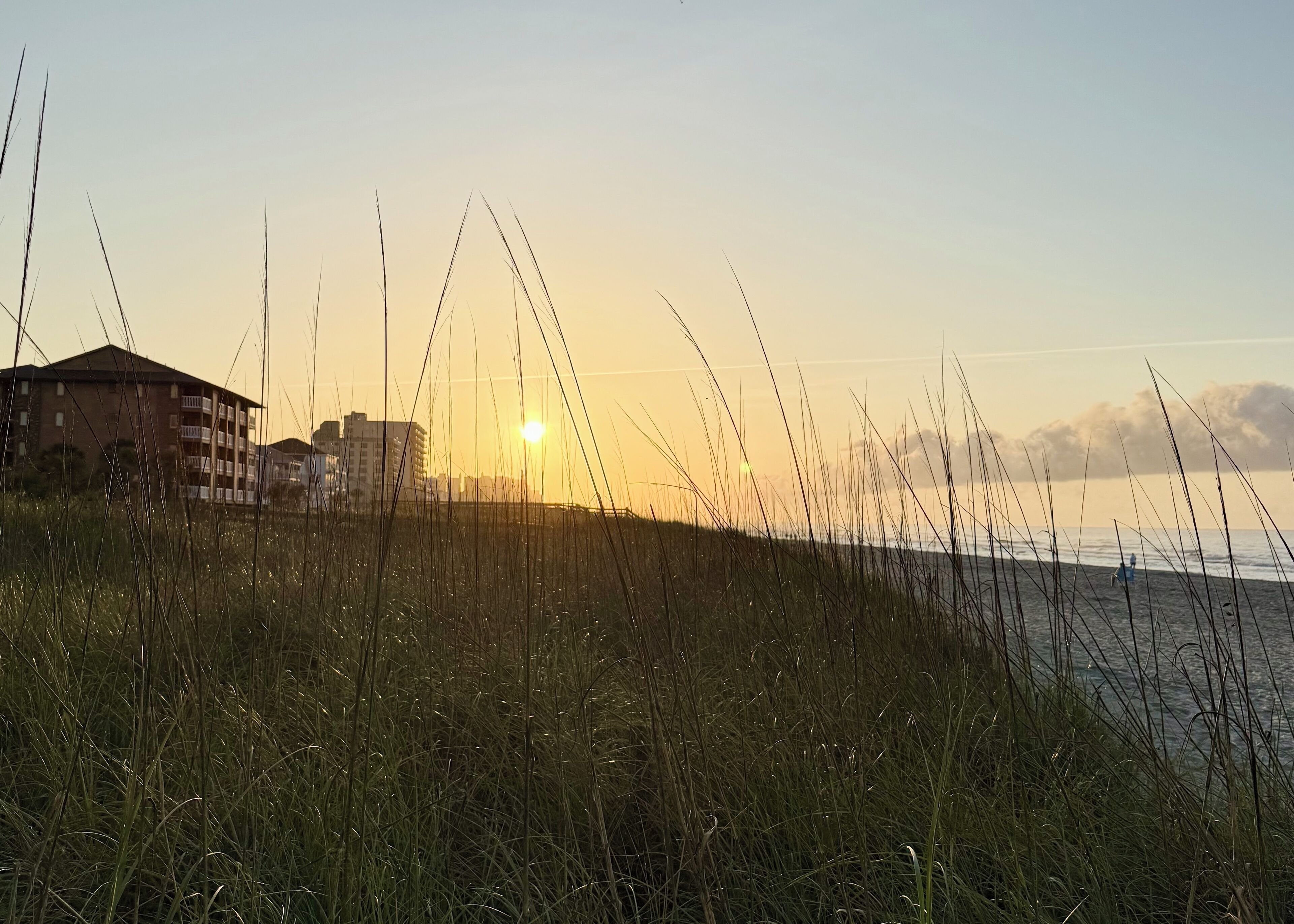 A coastal scene with tall grass in the foreground and a building with multiple floors in the background.