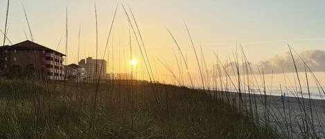 A coastal scene with tall grass in the foreground and a building with multiple floors in the background.