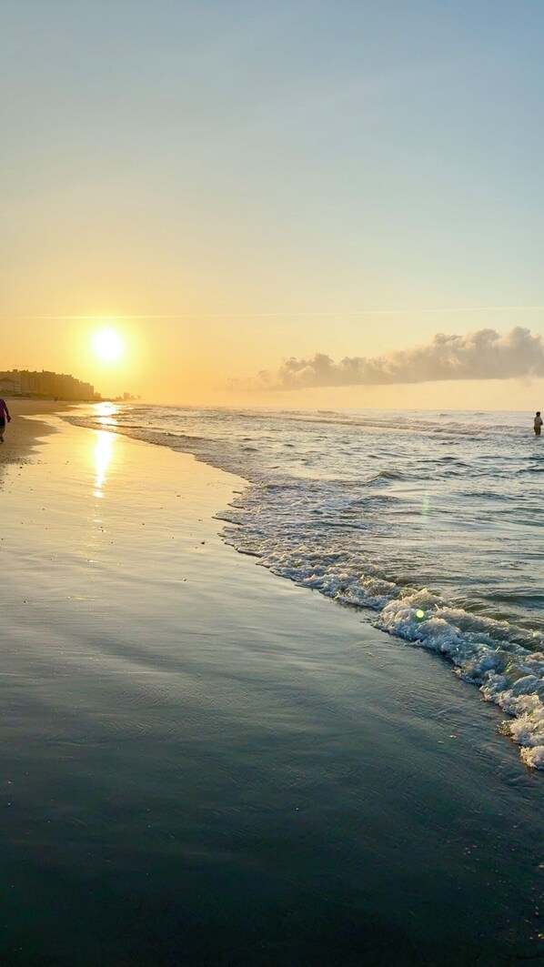 On the beach