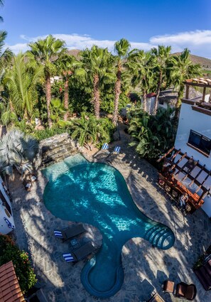A swimming pool with a unique shape, surrounded by palm trees and lounge chairs.
