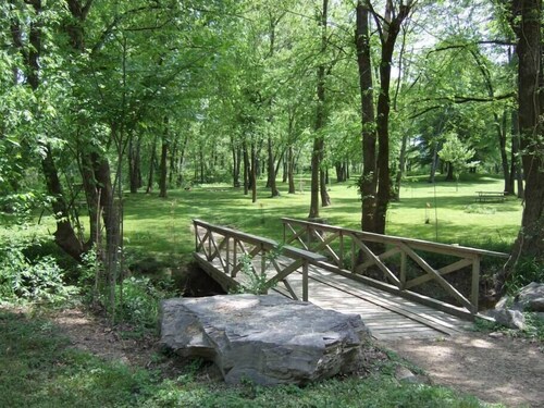 Maalaismainen honeybear mökki upealla näköalalla Ouachita joen, Lemmikkiystävällisiä