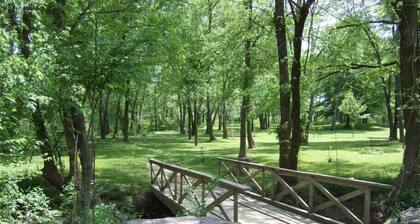 Maalaismainen honeybear mökki upealla näköalalla Ouachita joen, Lemmikkiystävällisiä