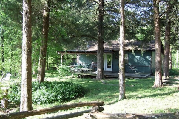 Magnolia Cabin in the Spring