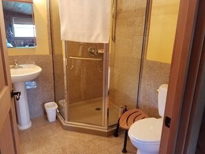 Hair dryer, towels, soap, toilet paper