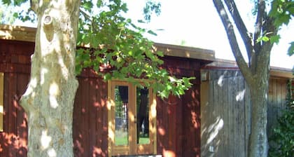 Ruch Refuge Hot Mineral Baths