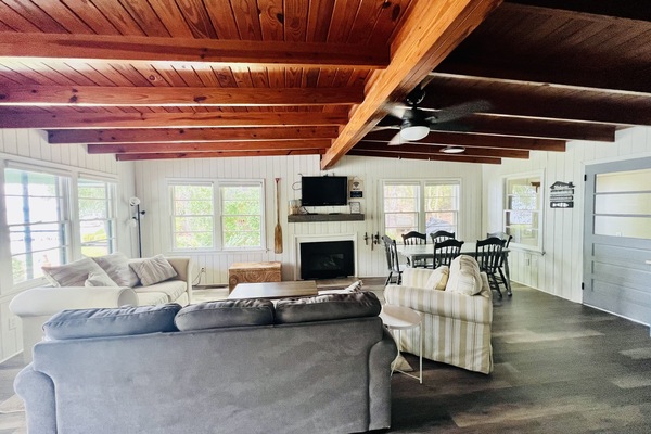 Smart TV, chimenea, libros