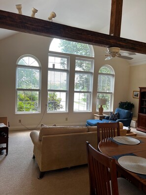 Smart TV, DVD player, books, stereo