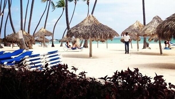 A beach with palm trees, thatched umbrellas, and lounge chairs.