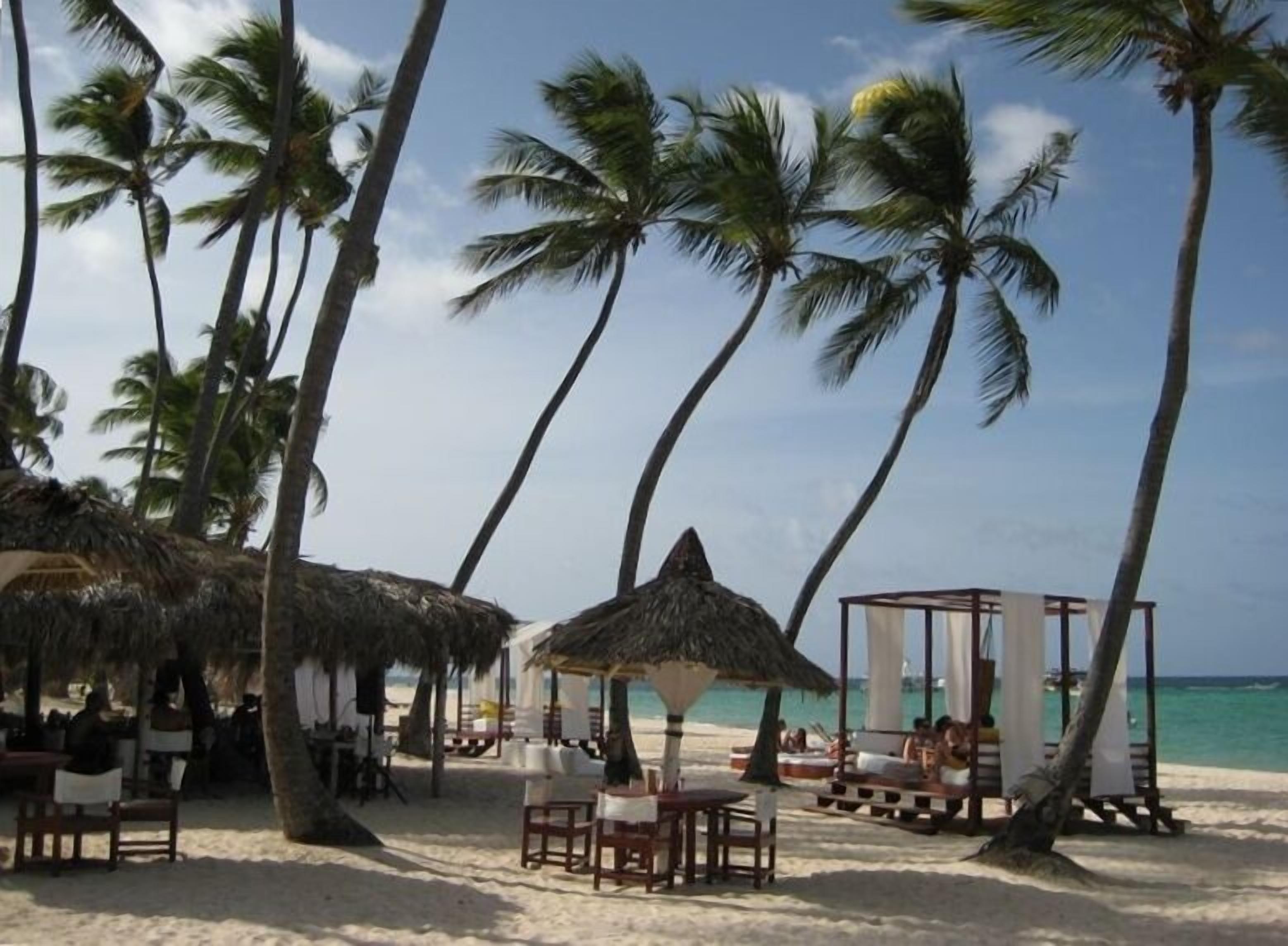 A beach with thatched-roof structures, palm trees, and a clear view of the ocean.