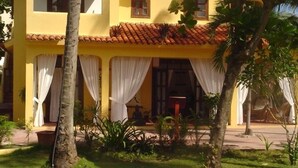 A yellow building with a tiled roof, white curtains, and a small garden with palm trees.