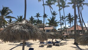 A beach with palm trees, thatched umbrellas, and lounge chairs.