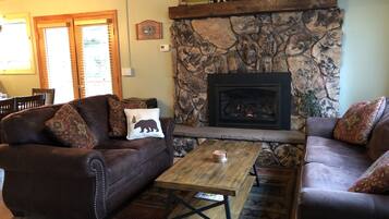 TV connectée, cheminée, lecteur de DVD, livres