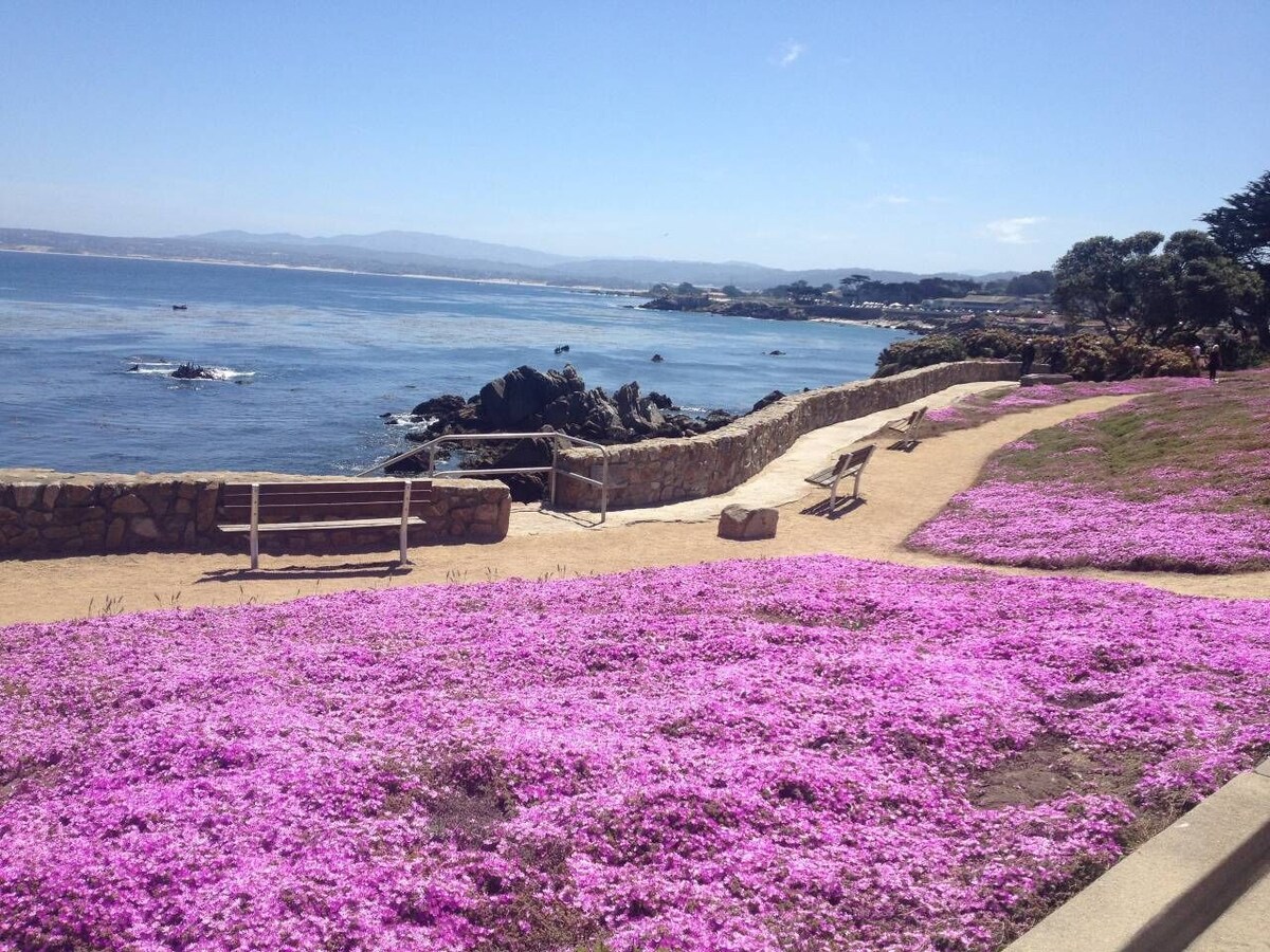 Photo 47 of 6-Bedroom Oceanfront Masterpiece in Pacific Grove, CA. From S1400 for 8 guests