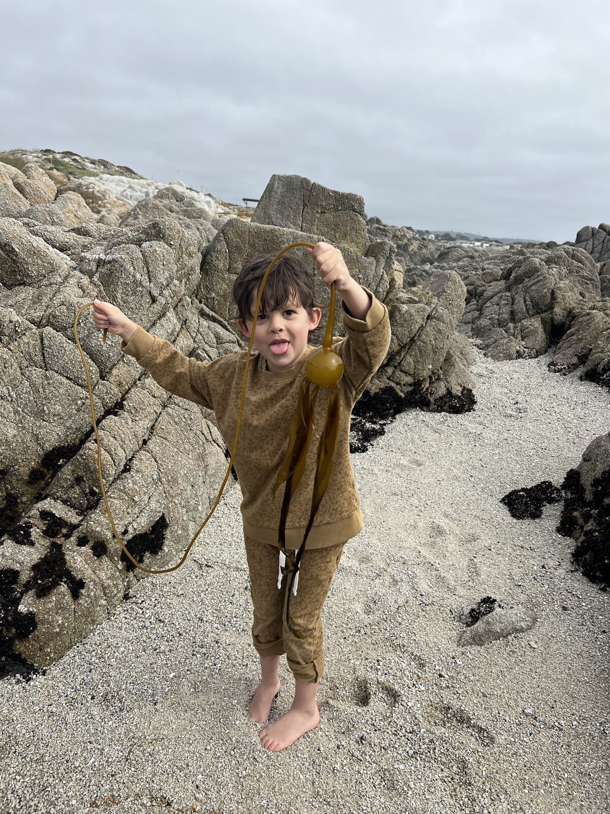 Photo 24 of 6-Bedroom Oceanfront Masterpiece in Pacific Grove, CA. From S1400 for 8 guests